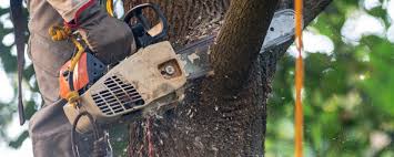 Best Soil Testing and Treatment  in Mdleton, ID