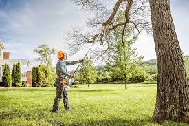 Best Arborist Consultation Services  in Mdleton, ID