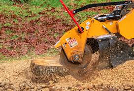 Best Tree and Shrub Care  in Mdleton, ID